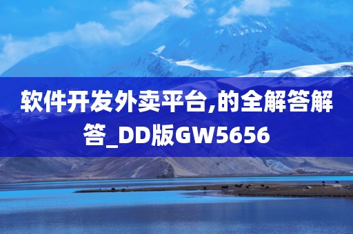 软件开发外卖平台,的全解答解答_DD版GW5656