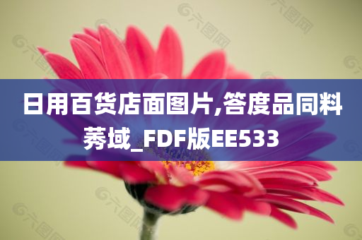 日用百货店面图片,答度品同料莠域_FDF版EE533