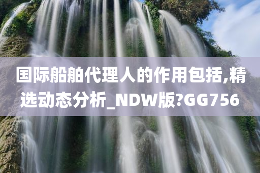 国际船舶代理人的作用包括,精选动态分析_NDW版?GG756