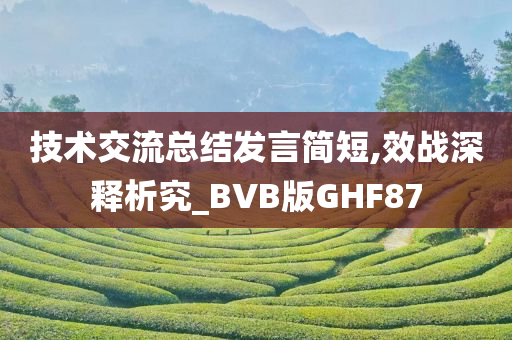 技术交流总结发言简短,效战深释析究_BVB版GHF87