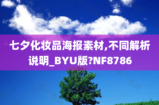 七夕化妆品海报素材,不同解析说明_BYU版?NF8786