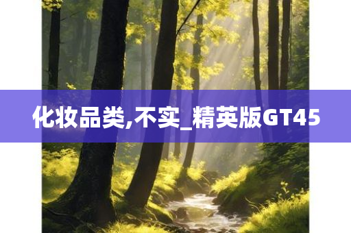 化妆品类,不实_精英版GT45