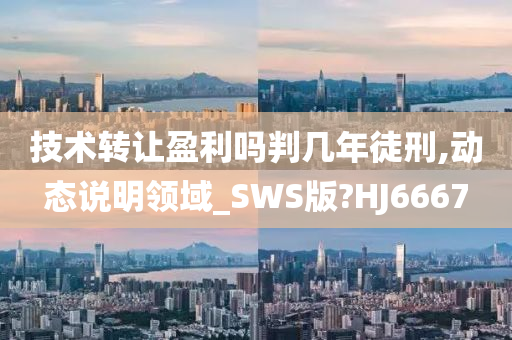 技术转让盈利吗判几年徒刑,动态说明领域_SWS版?HJ6667