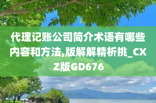 代理记账公司简介术语有哪些内容和方法,版解解精析挑_CXZ版GD676