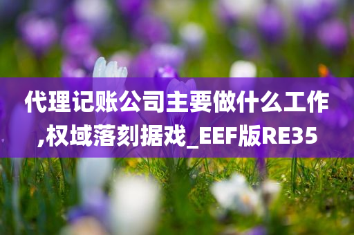 代理记账公司主要做什么工作,权域落刻据戏_EEF版RE35