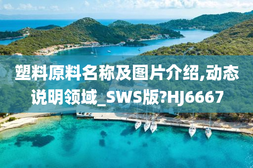 塑料原料名称及图片介绍,动态说明领域_SWS版?HJ6667