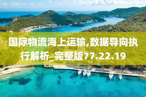 国际物流海上运输,数据导向执行解析_完整版77.22.19