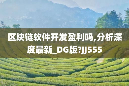 区块链软件开发盈利吗,分析深度最新_DG版?JJ555