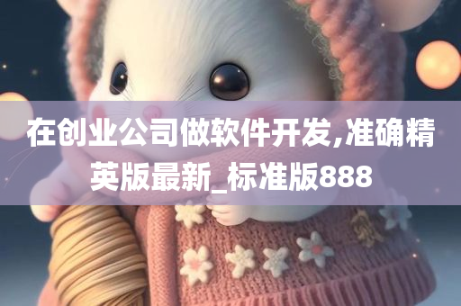 在创业公司做软件开发,准确精英版最新_标准版888