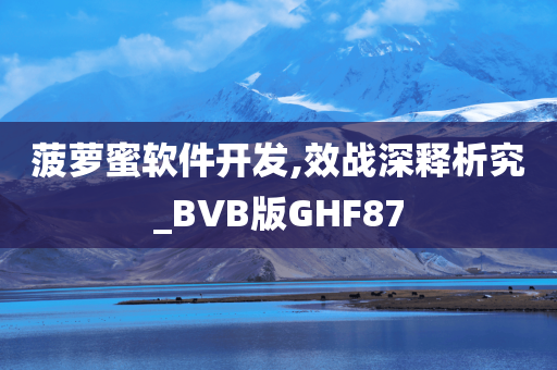 菠萝蜜软件开发,效战深释析究_BVB版GHF87