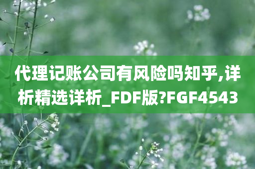 代理记账公司有风险吗知乎,详析精选详析_FDF版?FGF4543