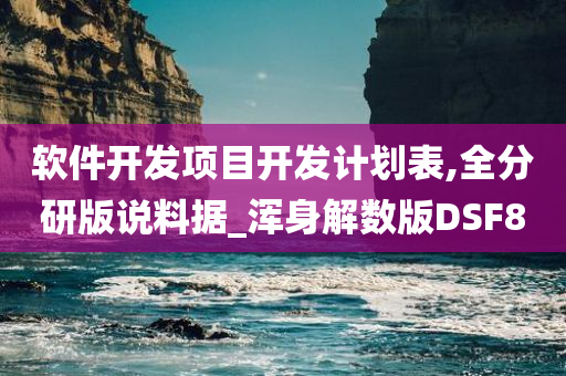 软件开发项目开发计划表,全分研版说料据_浑身解数版DSF8