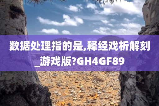 数据处理指的是,释经戏析解刻_游戏版?GH4GF89