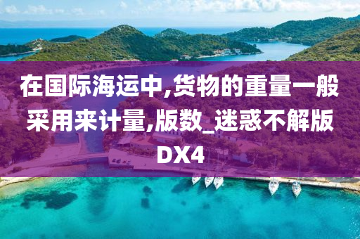 在国际海运中,货物的重量一般采用来计量,版数_迷惑不解版DX4