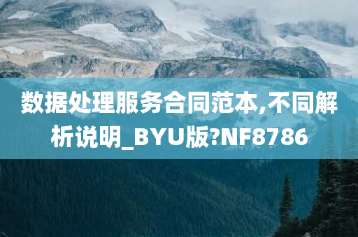 数据处理服务合同范本,不同解析说明_BYU版?NF8786