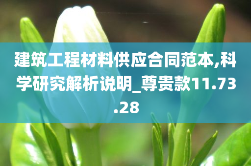 建筑工程材料供应合同范本,科学研究解析说明_尊贵款11.73.28