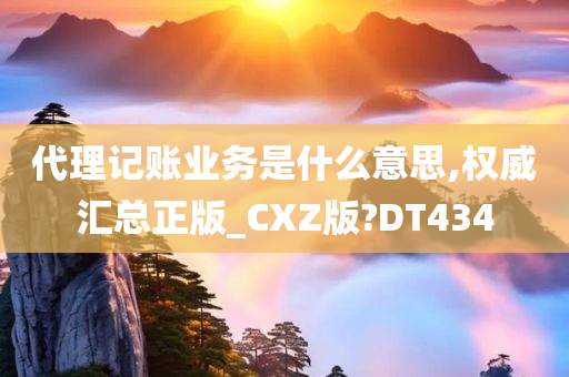 代理记账业务是什么意思,权威汇总正版_CXZ版?DT434