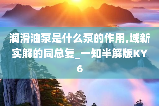 润滑油泵是什么泵的作用,域新实解的同总复_一知半解版KY6