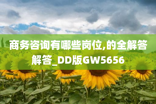 商务咨询有哪些岗位,的全解答解答_DD版GW5656