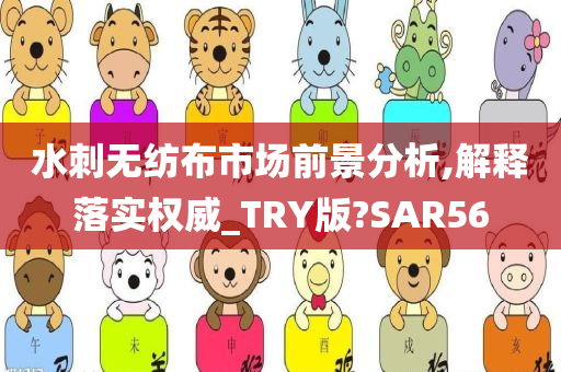 水刺无纺布市场前景分析,解释落实权威_TRY版?SAR56