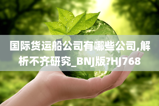 国际货运船公司有哪些公司,解析不齐研究_BNJ版?HJ768