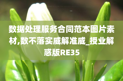 数据处理服务合同范本图片素材,数不落实威解准威_授业解惑版RE35