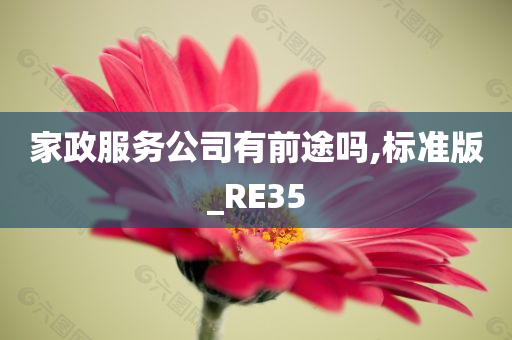 家政服务公司有前途吗,标准版_RE35