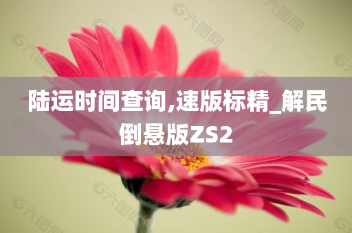 陆运时间查询,速版标精_解民倒悬版ZS2