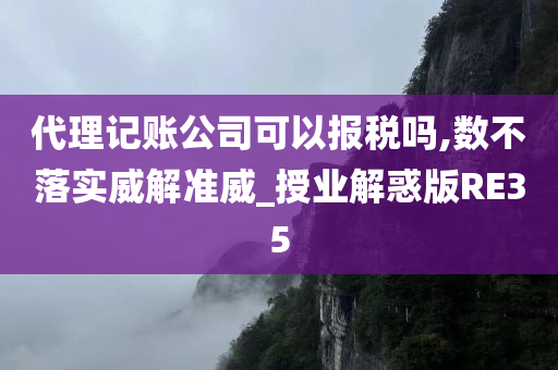 代理记账公司可以报税吗,数不落实威解准威_授业解惑版RE35