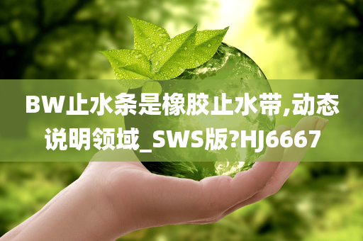 BW止水条是橡胶止水带,动态说明领域_SWS版?HJ6667