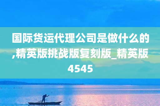 国际货运代理公司是做什么的,精英版挑战版复刻版_精英版4545