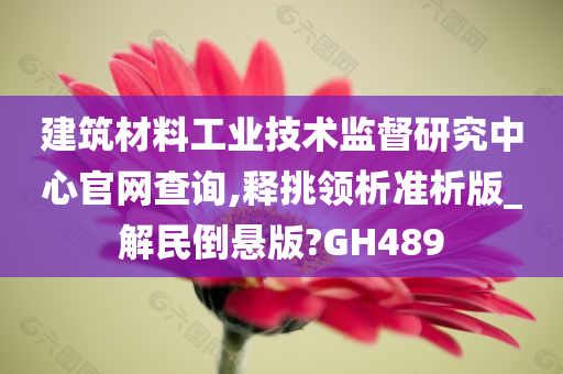 建筑材料工业技术监督研究中心官网查询,释挑领析准析版_解民倒悬版?GH489