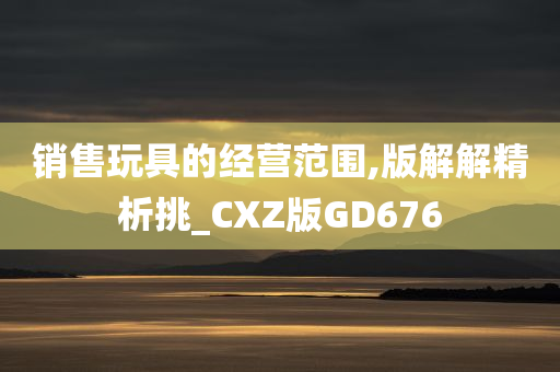 销售玩具的经营范围,版解解精析挑_CXZ版GD676