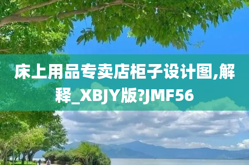 床上用品专卖店柜子设计图,解释_XBJY版?JMF56