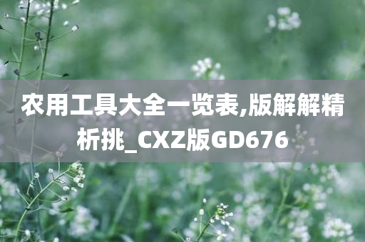 农用工具大全一览表,版解解精析挑_CXZ版GD676