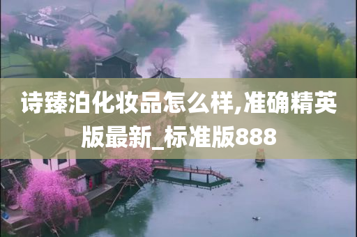 诗臻泊化妆品怎么样,准确精英版最新_标准版888