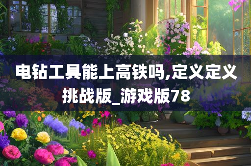 电钻工具能上高铁吗,定义定义挑战版_游戏版78