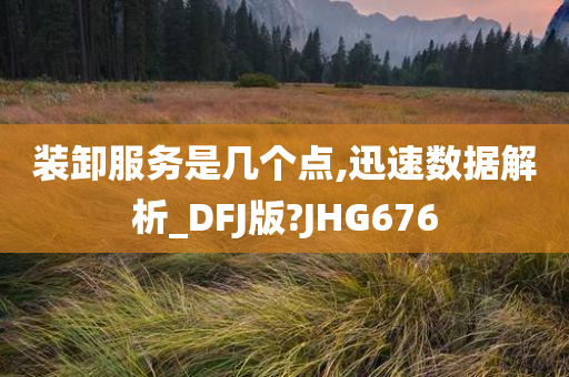 装卸服务是几个点,迅速数据解析_DFJ版?JHG676