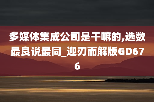 多媒体集成公司是干嘛的,选数最良说最同_迎刃而解版GD676