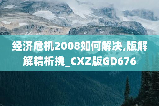 经济危机2008如何解决,版解解精析挑_CXZ版GD676