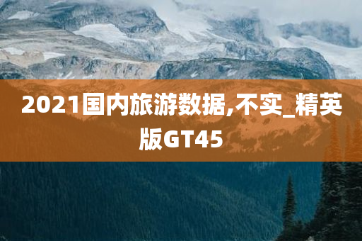 2021国内旅游数据,不实_精英版GT45