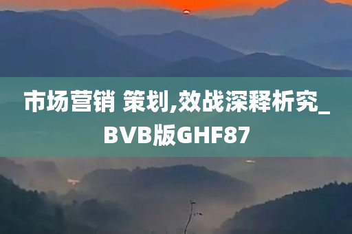 市场营销 策划,效战深释析究_BVB版GHF87