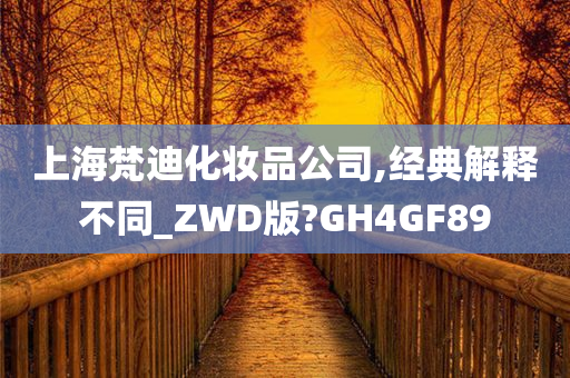 上海梵迪化妆品公司,经典解释不同_ZWD版?GH4GF89