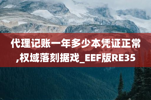 代理记账一年多少本凭证正常,权域落刻据戏_EEF版RE35