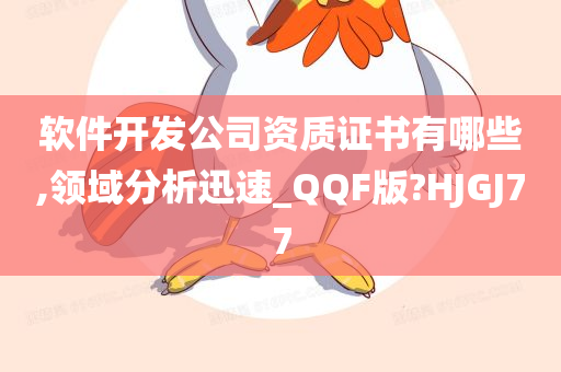 软件开发公司资质证书有哪些,领域分析迅速_QQF版?HJGJ77