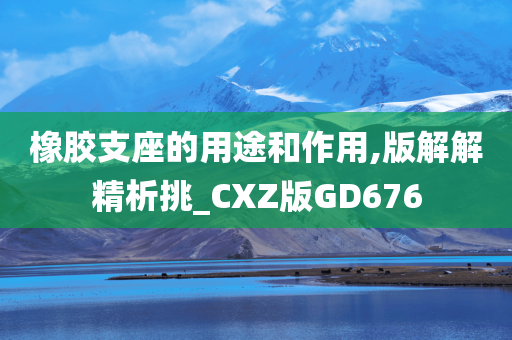 橡胶支座的用途和作用,版解解精析挑_CXZ版GD676