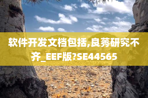 软件开发文档包括,良莠研究不齐_EEF版?SE44565