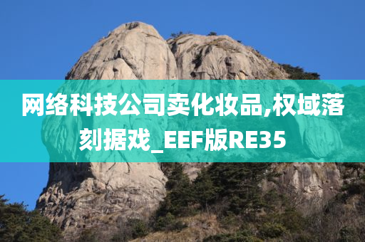 网络科技公司卖化妆品,权域落刻据戏_EEF版RE35