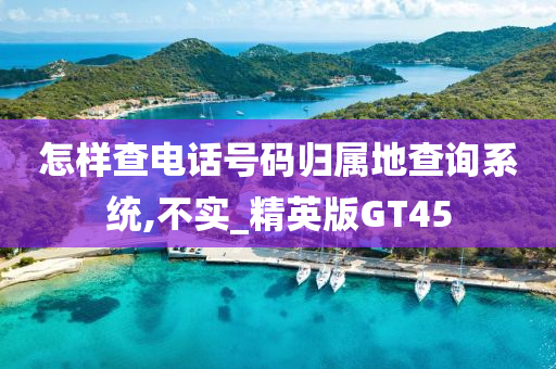 怎样查电话号码归属地查询系统,不实_精英版GT45