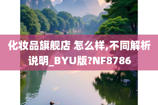 化妆品旗舰店 怎么样,不同解析说明_BYU版?NF8786